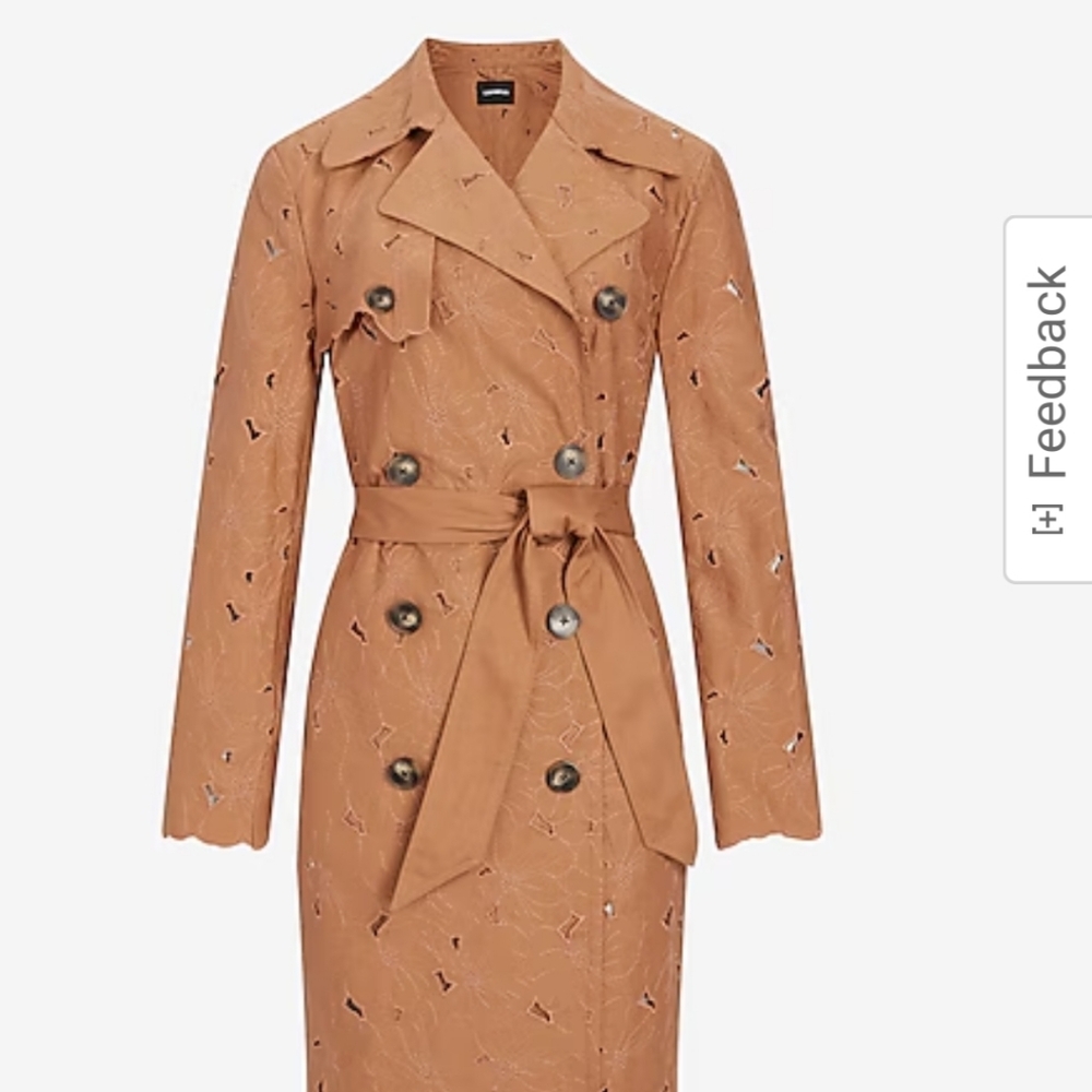 Embroidered trench coat